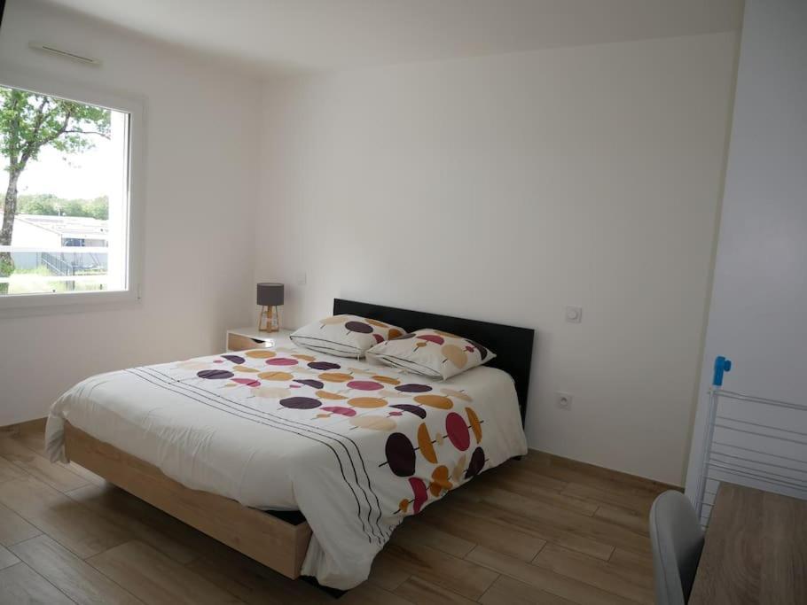Appt T2 Confortable Apartment